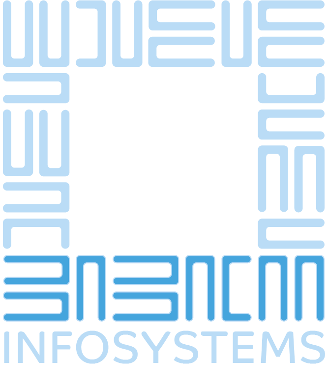 Babacan InfoSystems Logo